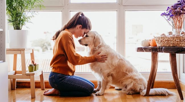 facts to consider When Building a Pet-First Home