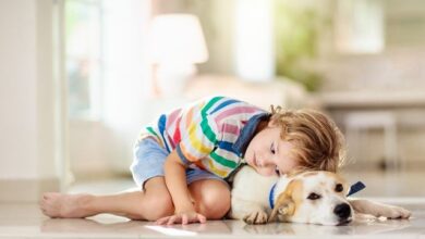 Dog Breeds for Autism