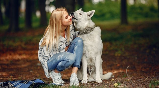 First-Time Dog Owners