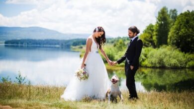 Ways to Include Your Pet in Your Wedding
