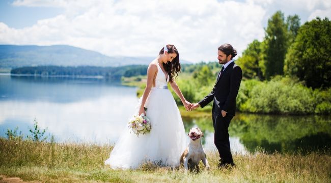 Ways to Include Your Pet in Your Wedding