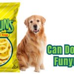 Can Dogs Eat Funyuns?