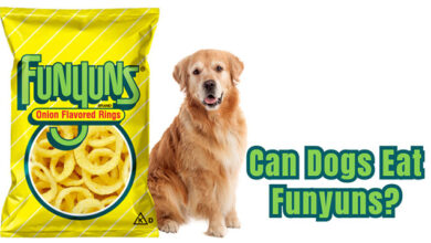 Can Dogs Eat Funyuns?