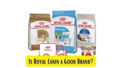 Is Royal Canin a Good Brand