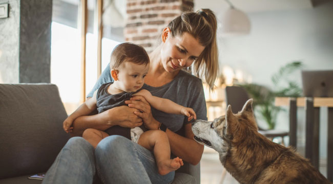 Learn how raising kids with dogs