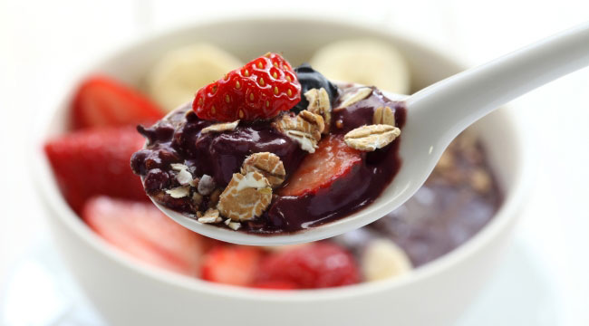 The Danger of Acai Berry for Dogs
