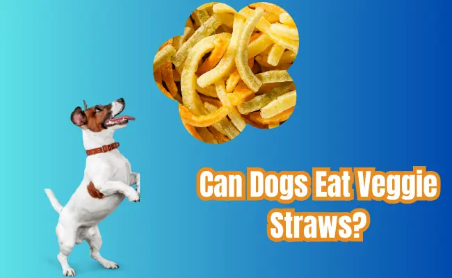 Can Dogs Eat Veggie Straws