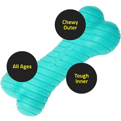 Playology Scented Dual Layer Bone Dog Toy