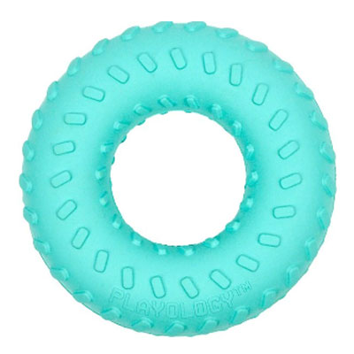 Playology Scented Dual Layer Ring Dog Toy