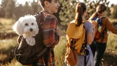 are dog backpack carriers safe