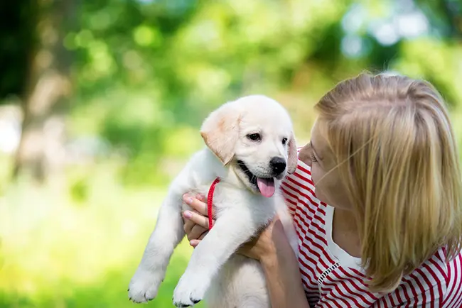 How to Socialize Your New Puppy