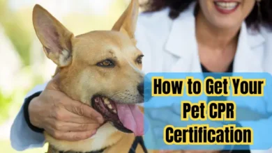 Pet CPR Certification