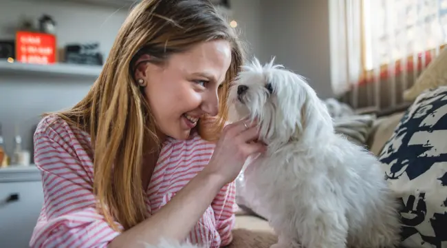 relationship with dog