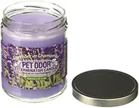 Pet Odor Exterminator Candle