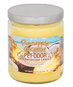 Pet Odor Exterminator Pineapple Coconut Deodorizing Candle