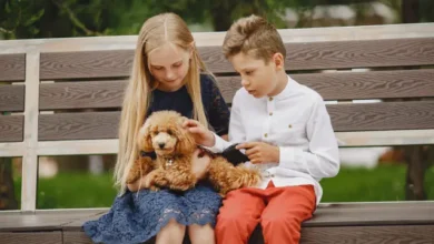 Poodles and Children - Creating Lifelong Bonds