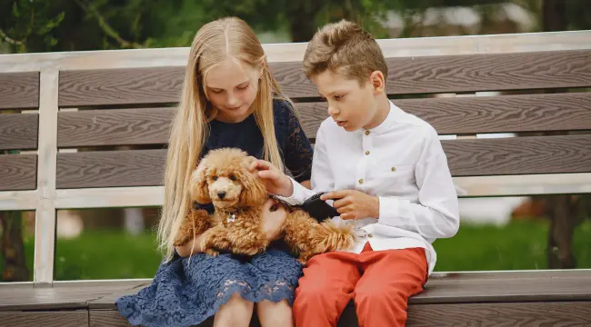 Poodles and Children - Creating Lifelong Bonds