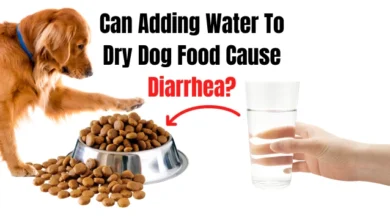 Can Adding Water To Dry Dog Food Cause Diarrhea?