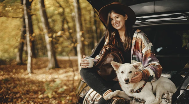 traveling with pets on delta