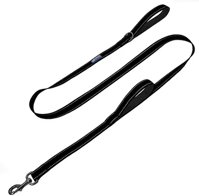 Best Leash for dogs