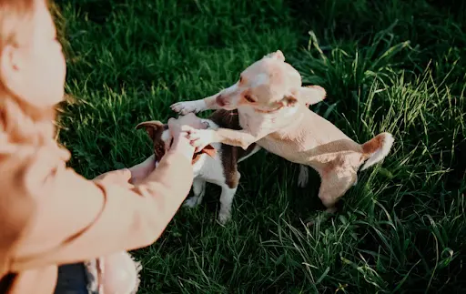 Creating a Safe Environment