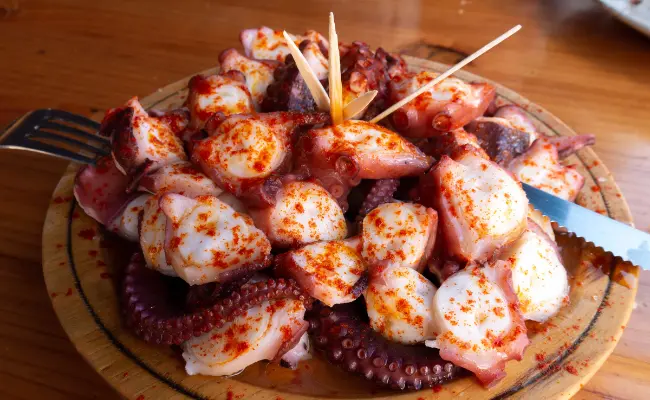 can dogs eat cooked octopus?
