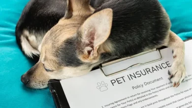 Factors to Consider Before Investing in Pet Insurance