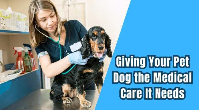 Giving Your Pet Dog the Medical Care It Needs