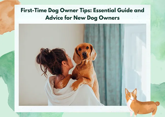 First-Time Dog Owner Tips