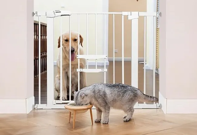 Pet Gate with a Cat Gate