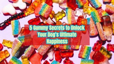5 Gummy Secrets to Unlock Your Dog's Ultimate Happiness