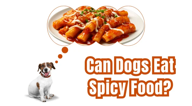 Can Dogs Eat Spicy Food