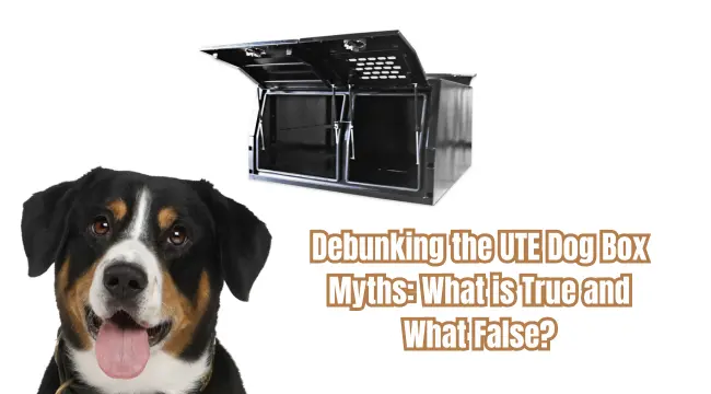 Debunking the UTE Dog Box Myths