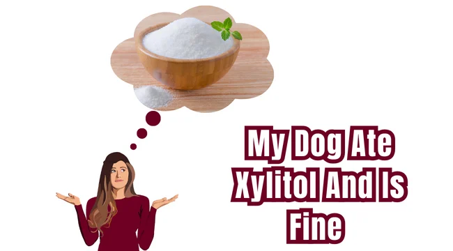 One Of My Friends Told Me, “My Dog Ate Xylitol And Is Fine.”