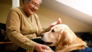 Qualities in an Ideal Therapy Dog