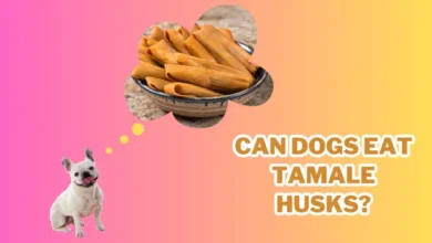 Can Dogs Eat Tamale Husks?