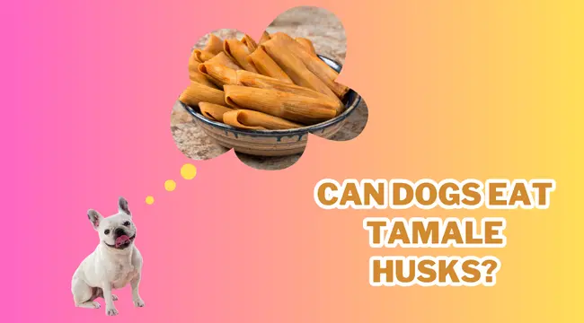 Can Dogs Eat Tamale Husks?