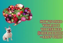 How to Feed Your Dog Vegetables (like Radishes) - Easy Guide