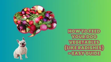 How to Feed Your Dog Vegetables (like Radishes) - Easy Guide