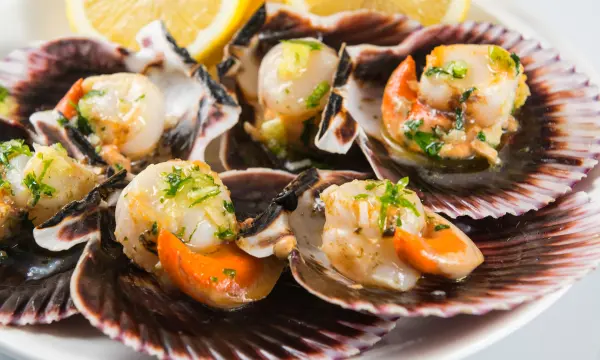 What Are Scallops?