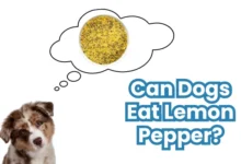 Can Dogs Eat Lemon Pepper?