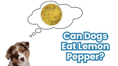 Can Dogs Eat Lemon Pepper?