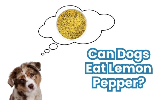 Can Dogs Eat Lemon Pepper?