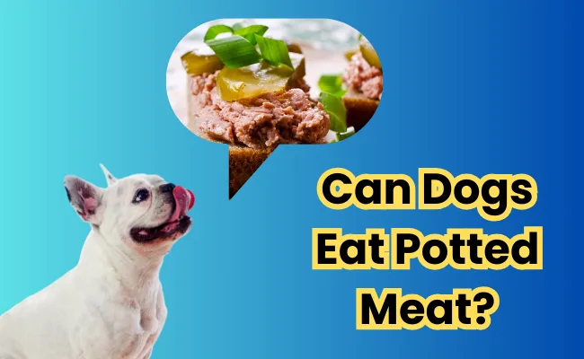 Can Dogs Eat Potted Meat? A Comprehensive Guide