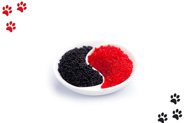 types of Caviar 