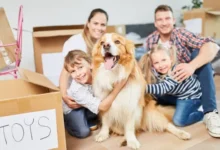 Making the Move Easier for Your Pets
