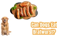 Can Dogs Eat Bratwurst?