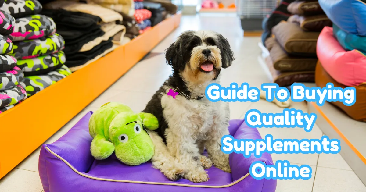 A Pet Owner’s Guide To Buying Quality Supplements Online