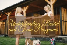 Understanding Board and Train Programs