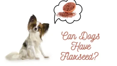 Can Dogs Have Flaxseed